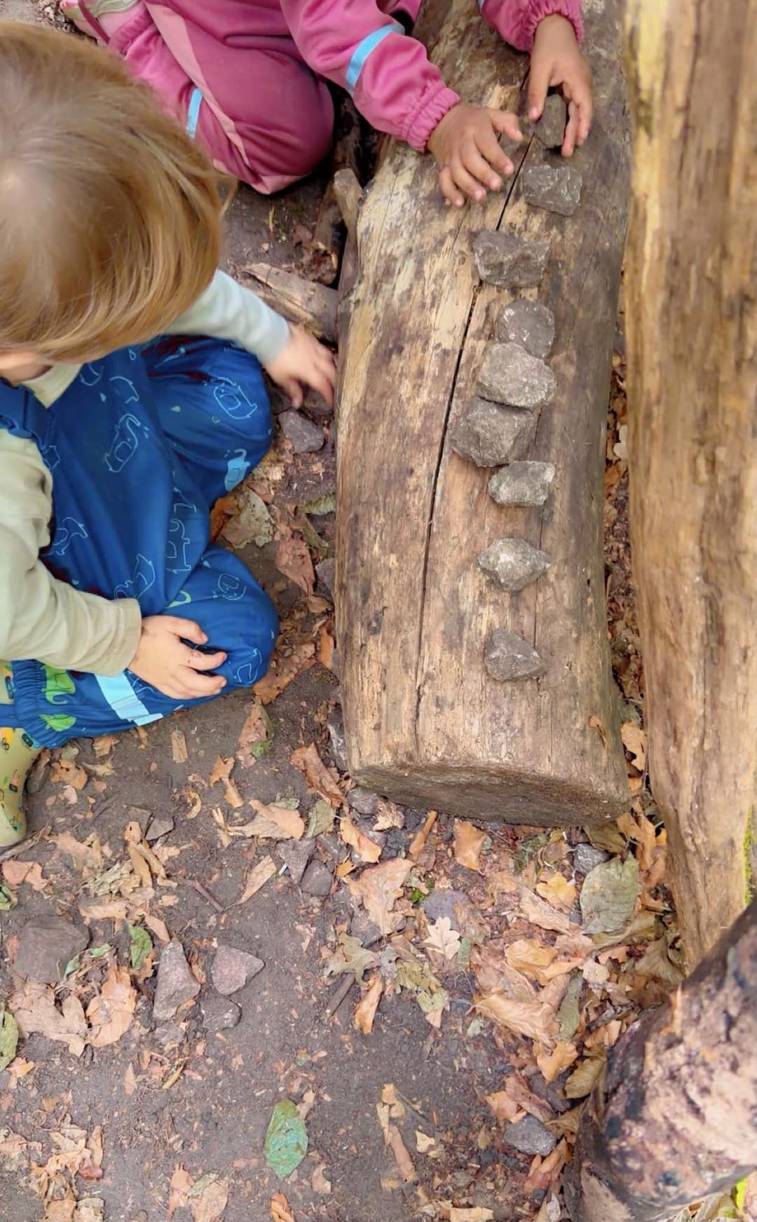 Kinder legen im Wald Steine auf einen Baumstamm